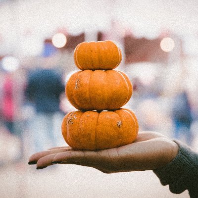 EmilyHar2's profile picture. To philosophize is nothing else than to prepare oneself for death.