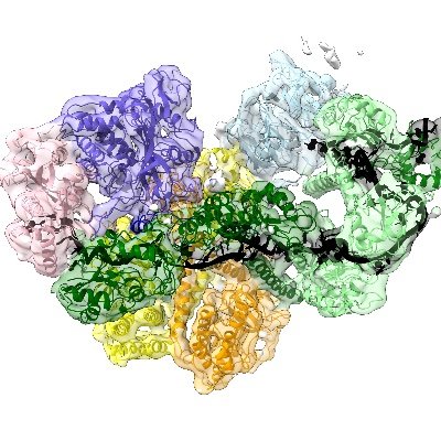 We use structural biology and biochemistry to study protein complexes involved in RNA metabolism @MPI_Biochem. Tweets by Elena signed EC.