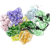 conti_lab (@labconti) 's Twitter Profile Photo conti_lab (@labconti) 's Twitter Profile Photo