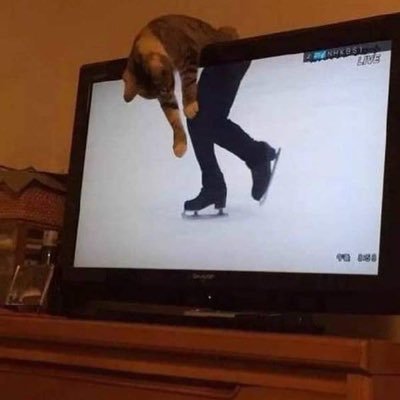 noexplanasion's profile picture. 