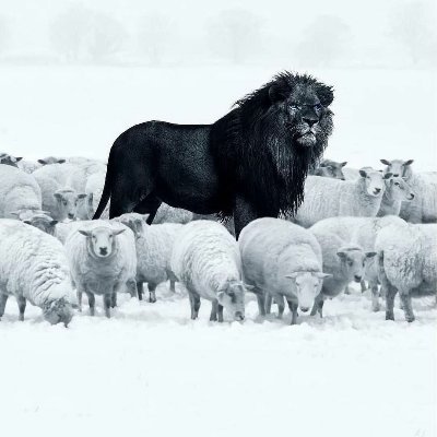 aby_Rotimleumas's profile picture. Simple