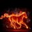 arnysarabia's profile image