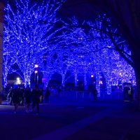 こと 取引用 (@garnet_idocrase) Twitter profile photo