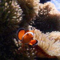 acha❤️ (@acha1199349878) Twitter profile photo