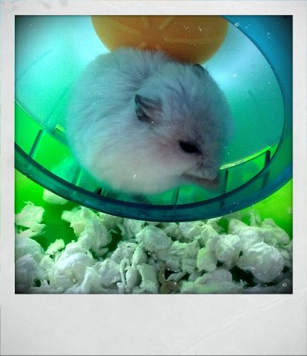 onlylove_mango's profile picture. Live happily~