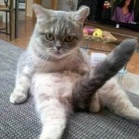 DK. (@kingd11922055) 's Twitter Profile