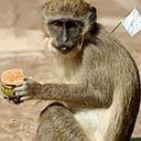 Brittany Casey - @brittanycasey13 - Twitter