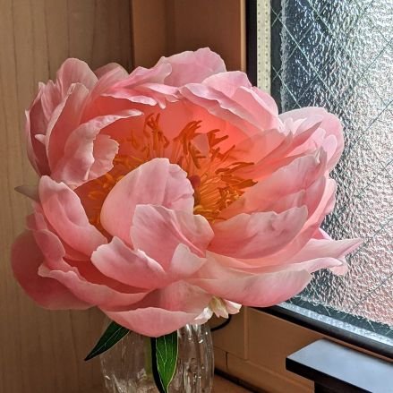 ユウトさんのプロフィール画像