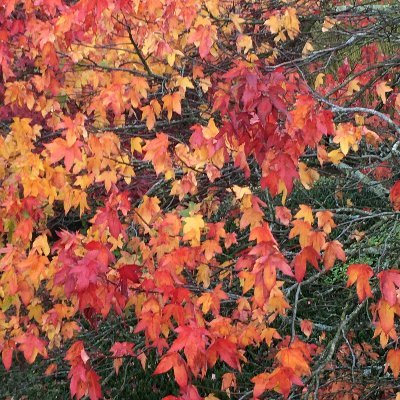 WhyWils's profile picture. 