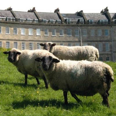 The Association was formed to conserve and enhance the amenities of Lansdown Crescent and the surrounding streets, and to maintain the field .