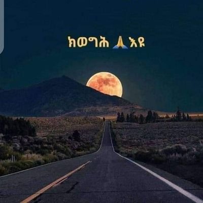 yoseph_kiros's profile picture. TigrayPrevails 💪🙅‍♂️💪
ክትወግሕያ !