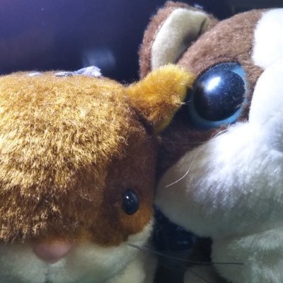 gotake5000's profile picture. リツイート、いいねは必ずしも賛同したものだけではありません
18禁。表とエロが混在してます。じじい(影は15歳少年)です。匂い好き。ユニ好き。ダンロップなど好きかも 。G、他雑多
***猫に大政奉還***　鹿児島空港