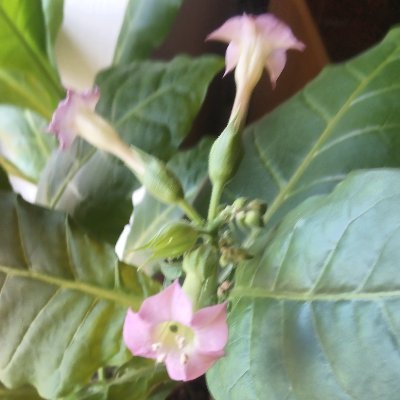 Eve78357118's profile picture. Dream