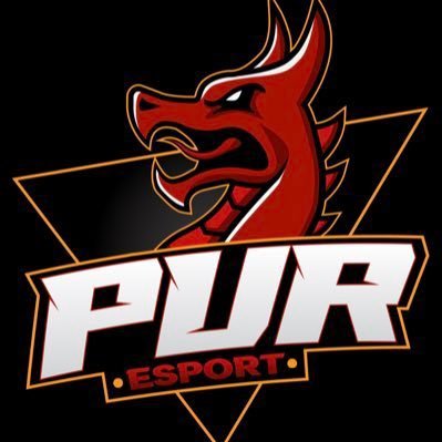 PuR eSport Profile