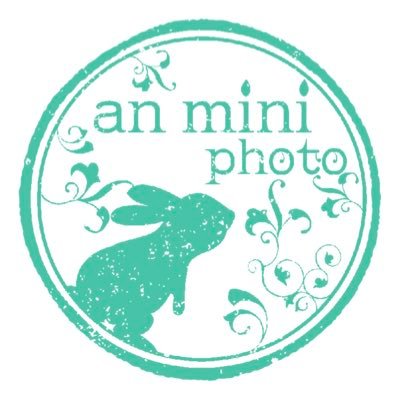 anminiphoto_'s profile picture. ※ご利用頂いた皆様有り難う御座いました！詳しくお知らせをご覧下さい。