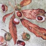 Riverside Conkers (@rps_conkers) 's Twitter Profile