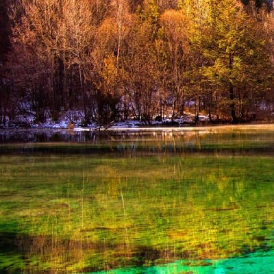 dimmanen's profile picture. 