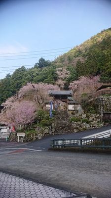 日蓮宗
身延山 本地院 本行坊