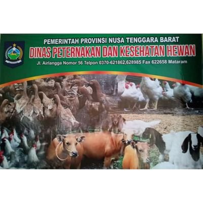 Akun Resmi Dinas Peternakan dan Kesehatan Hewan Provinsi Nusa Tenggara Barat