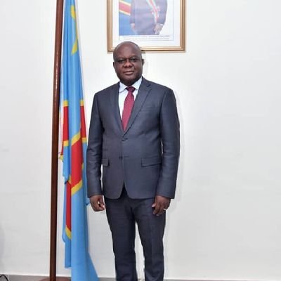 Vice-Ministre du Plan, Ministre d'Etat, Ministre du Plan ai, député national et provincial, élu de Tshela dans le Kongo Central. Énarque, Vice-Ministre MAE.