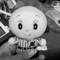 ギブソン🐬 (@pktgamj) 's Twitter Profile