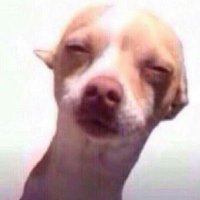 😎 (@nayongimneda) 's Twitter Profile Photo