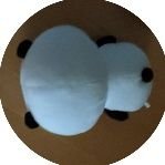 こんにちは。大阪でエンジニアやってます。コロナショックの1週間前から株式投資はじめました。米国株/投資信託/オニール/株しか感情が沸かない/損切りは無感情/カップウィズハンドル/50日移動平均線/IBD
