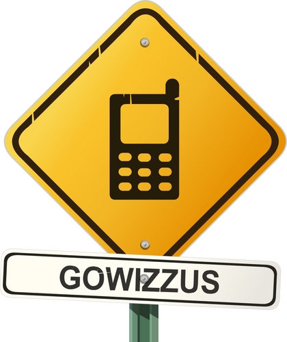 GOWIZZUS's profile picture. Créateur de solutions numériques innovantes