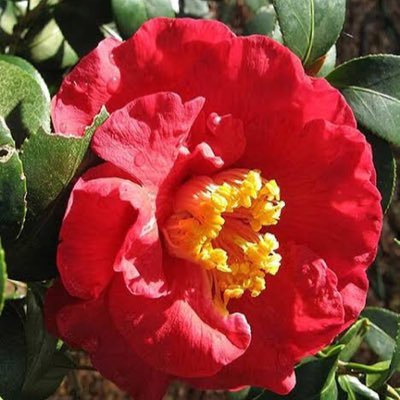 Bannarak8's profile picture. หาเงินจ่ายค่าห้องและค่าเทอมช่วงโควิดค่ะ🙏