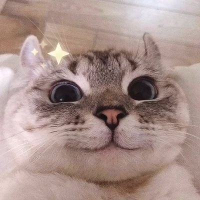 Hecblogさんのプロフィール画像
