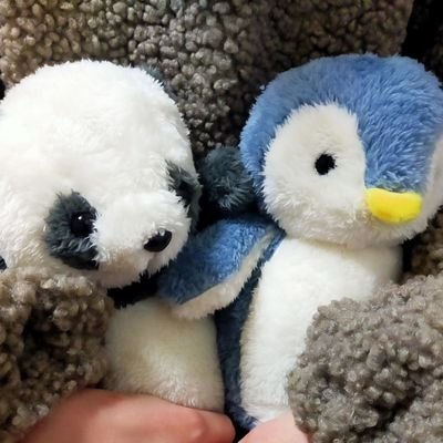 ななち❄🦊さんのプロフィール画像