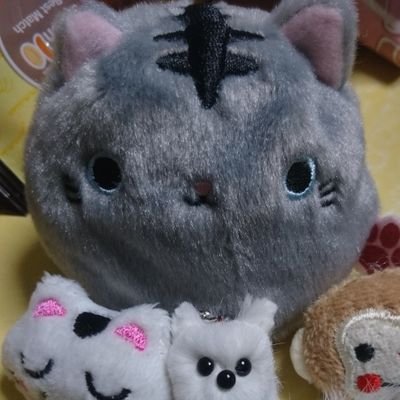 miu620sw's profile picture. 