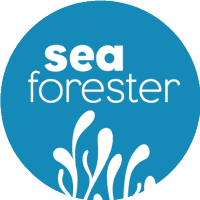 SeaForester(@ForesterSea) 's Twitter Profileg