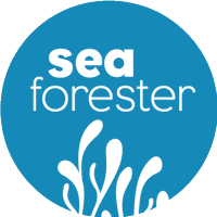 SeaForester (@forestersea) 's Twitter Profile Photo SeaForester (@forestersea) 's Twitter Profile Photo