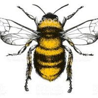 🐝Buzz🐝no followers please(@amcey3) 's Twitter Profile Photo