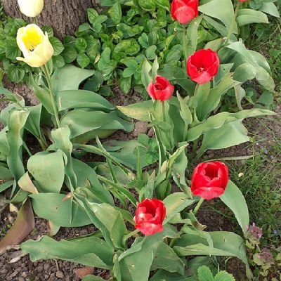 HollRbert3's profile picture. 