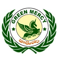 GREEN MERCY(@GREENMERCY6) 's Twitter Profile Photo