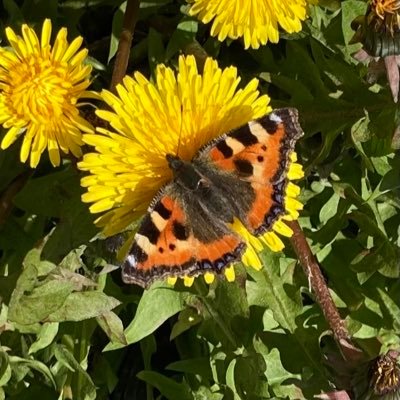 alisonlock25's profile picture. 