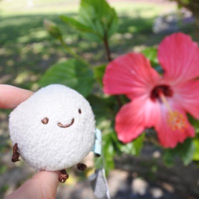 中川翔子、明日海りお、齋藤飛鳥、桜田ひより、華優希、三戸なつめ、chiakikohara、 ホコリとチャイとしろたんと、カフェオレはマザーズ