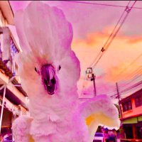 MC INKADELIX ZOO (@mcinko) 's Twitter Profile