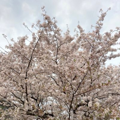 kftmuuuu's profile picture. ♡ふぉ〜ゆ〜♡