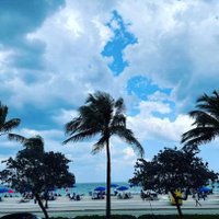 Lili Chestnut (@lichnt531) 's Twitter Profile