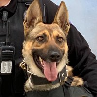 VVUSDPDK9 (@vvusdpdk9) 's Twitter Profile Photo VVUSDPDK9 (@vvusdpdk9) 's Twitter Profile Photo