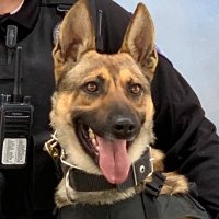 VVUSDPDK9(@vvusdpdk9) 's Twitter Profile Photo