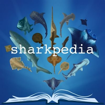 A podcast all about the science of sharks and their relatives with hosts @megholst and @curly_biologist! We will be back soon🦈