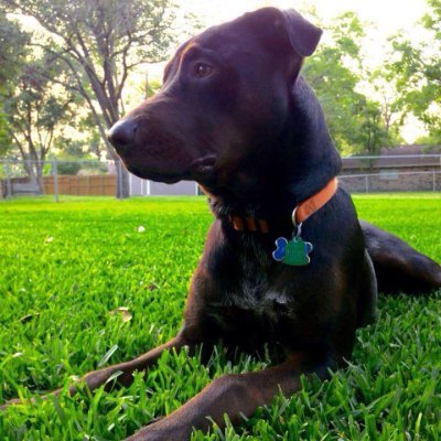 eof0606's profile picture. Houston,Tx