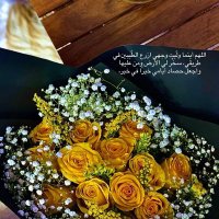 ام حمد (@yi49phk1klk2z3v) 's Twitter Profile