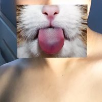 3lackdevil_cat (@3lackdevil_cat) 's Twitter Profile