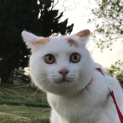 buding_c's profile picture. Keep Going