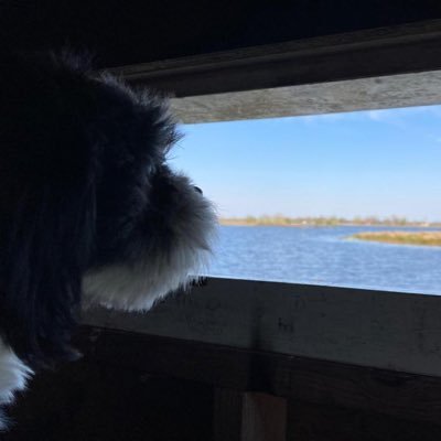 tromp_arno's profile picture. 